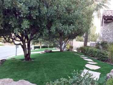 Artificial Grass Photos: Artificial Pet Grass Mira Monte California Landscape, Lawns